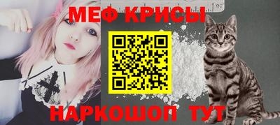 стаф Можга