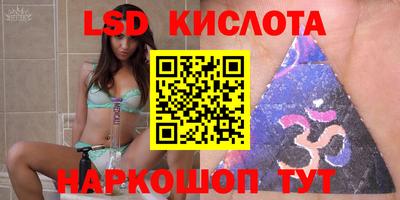 стаф Можга